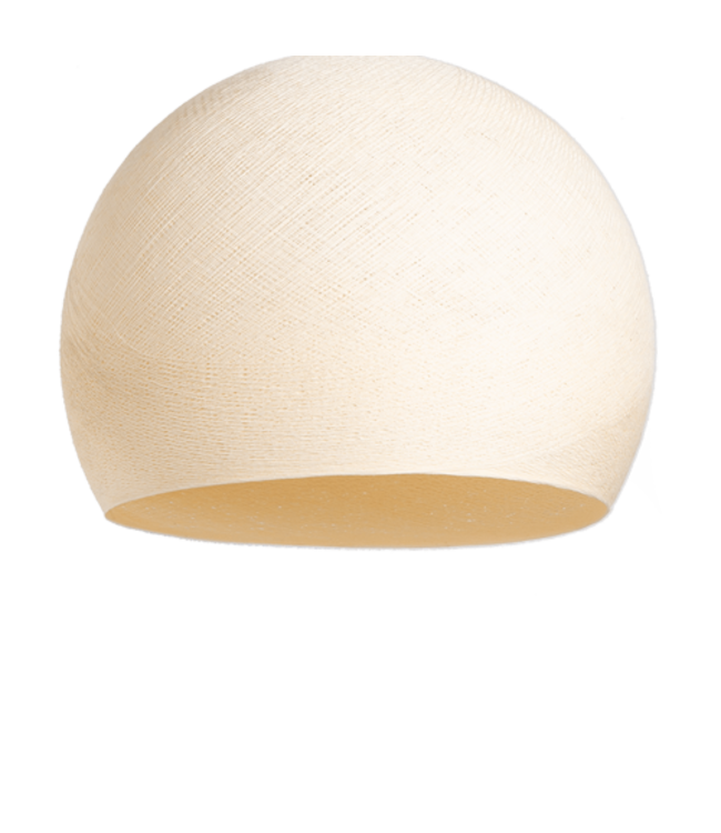 Shell - Three Quarter