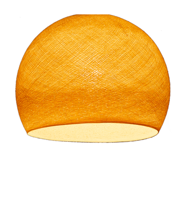 Shell - Three Quarter