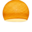 Shell - Three Quarter