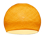 Shell - Three Quarter