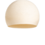 Shell - Three Quarter