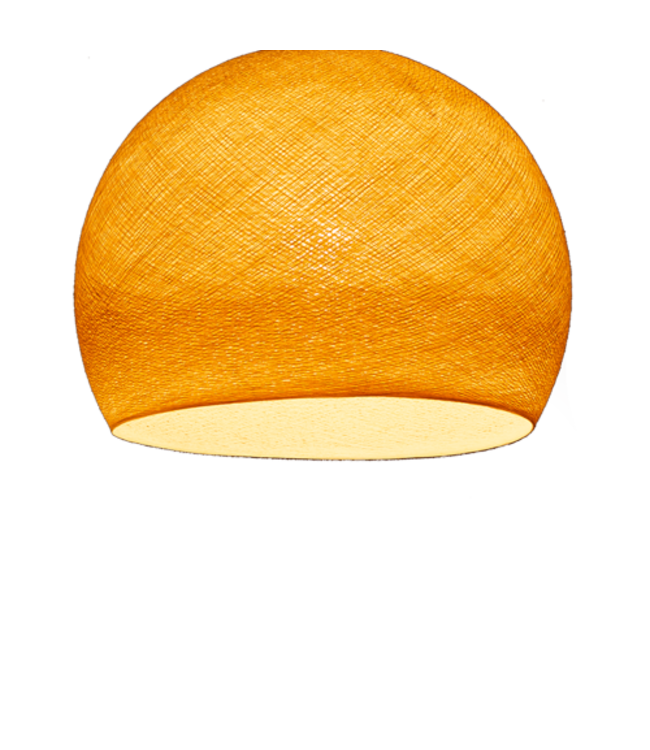 Shell - Three Quarter