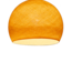 Shell - Three Quarter