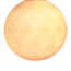 White - Full Round