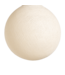 Shell - Full Round