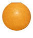 Shell - Full Round