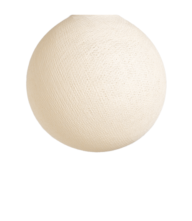 Shell - Full Round