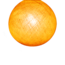 Mustard - Full Round