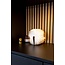 Book Lamp Maple Brown