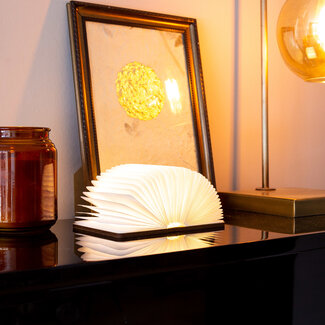 LEDR Boek Lamp Walnoot Bruin