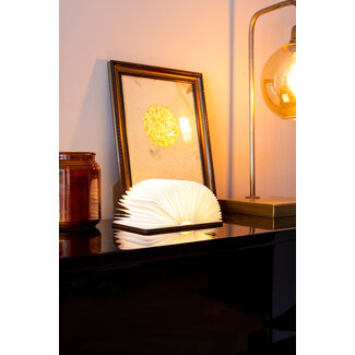 LEDR Boek Lamp Walnoot Bruin