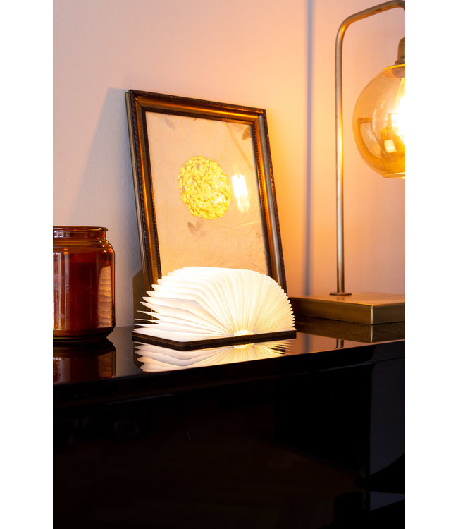 Book Lamp Walnut Brown