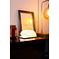 Book Lamp Walnut Brown