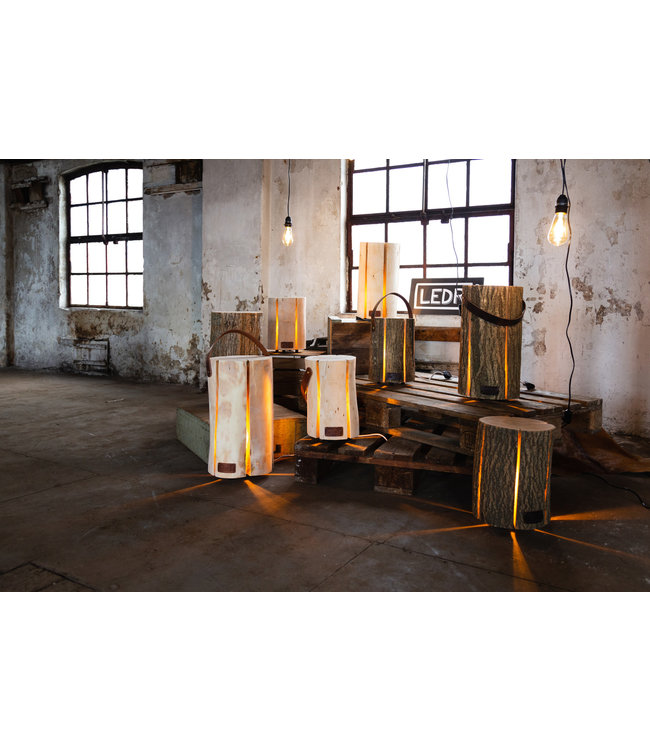 Wood Light - Ash Wood M