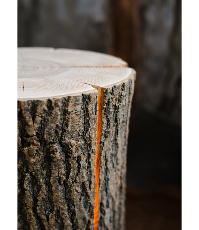 Wood Light - Ash Wood M