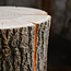 LEDR Wood Light - Ash Wood L