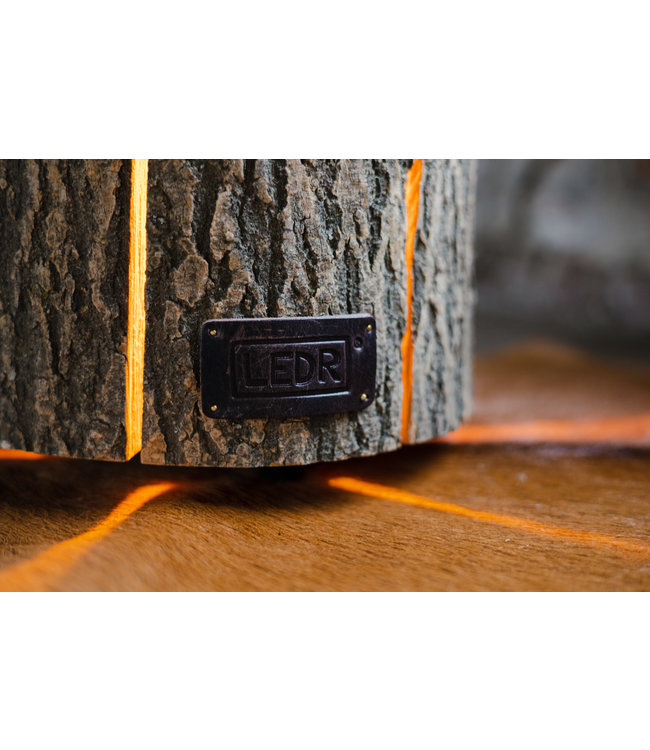 Wood Light - Ash Wood M || Leather edition