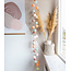 Regular Light String - Macaron