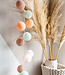 Regular Lichtslinger - Macaron