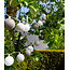 Outdoor Lichtslinger - Gris