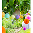 Outdoor String Light - Arco Iris