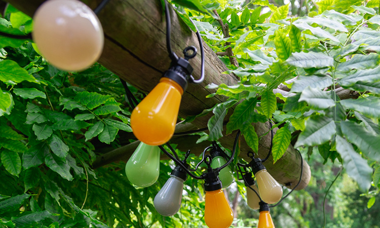 Regular Patio Edison Bulbs