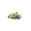 Cotton Ball Lights Regular Light String - Teddy