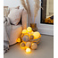 Premium Light String - Soft Teddy
