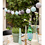 Outdoor String Light - Arroyo