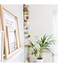 Cotton Ball Lights - Indoor lichtslinger - Paradise