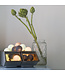 Cotton Ball Lights - Indoor lichtslinger - Aqua Grey