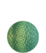 Outdoor Sea Green