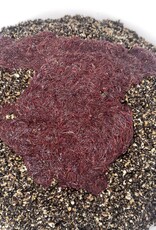 Baitworld Bloodworm Deal