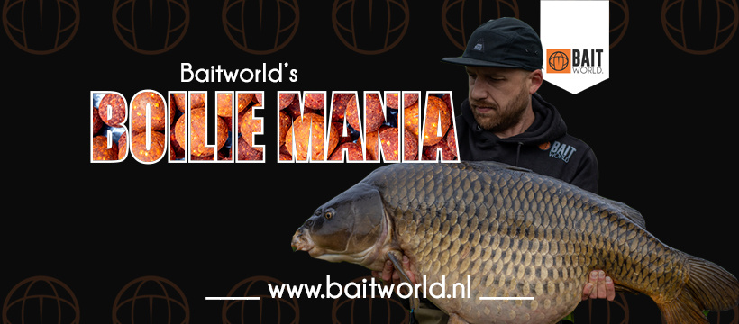 Boilie Mania