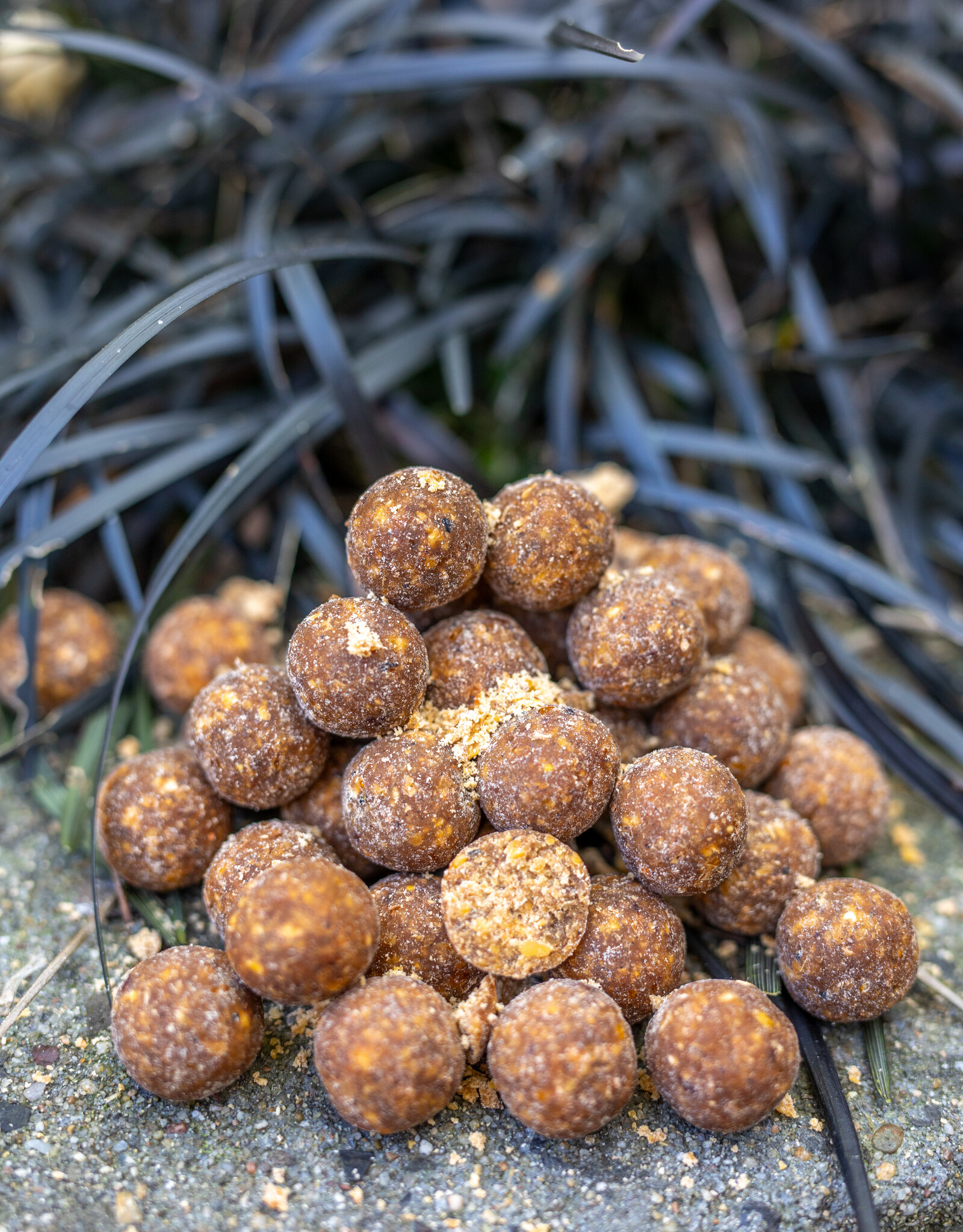 Baitworld Krill Boilies 10kg