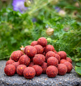 Baitworld Garlic Fish Extreme 100kg