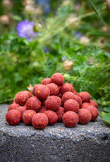 Baitworld Garlic Fish Extreme 20kg