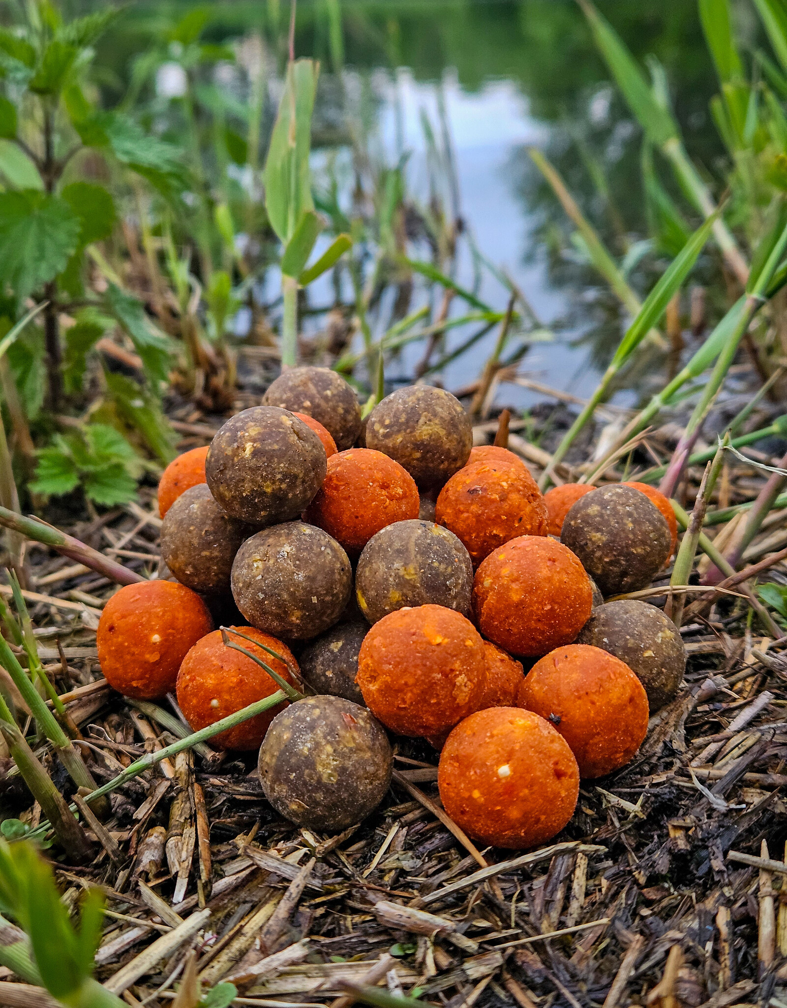Baitworld Milky Peach N Tutti  & Krill Combi Deal 20kg