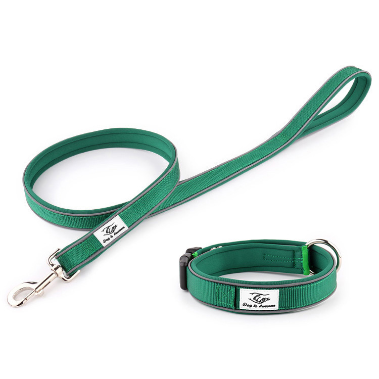 dog leash buckle