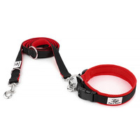 Set Dog Leash and Collar