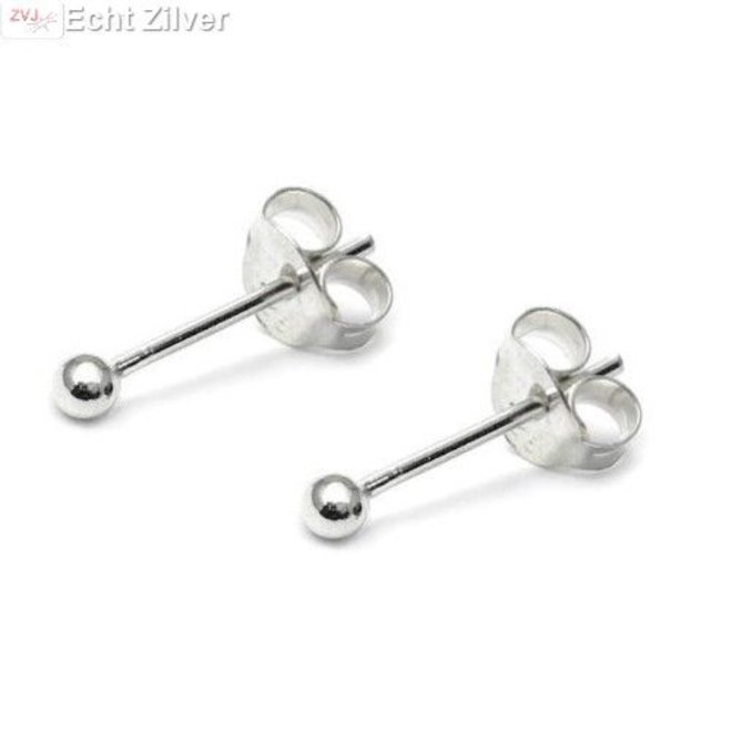 Zilveren kleine oorknopjes 2 mm balletjes