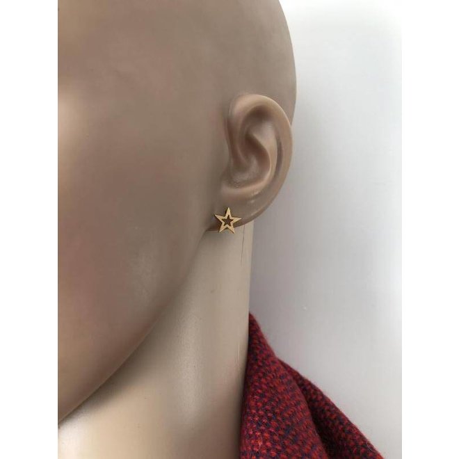 Gold plated 925 zilveren open ster oorstekers