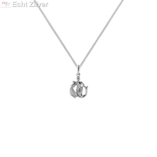 ZilverVoorJou Zilveren sterrenbeeld collier waterman ZilverVoorJou Zilveren sterrenbeeld collier waterman