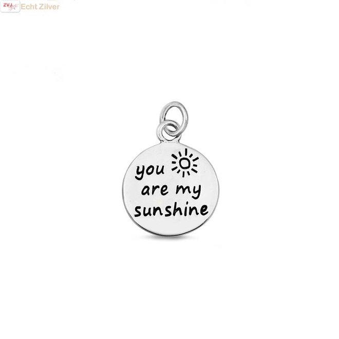 Zilveren You are my sunshine hangertje