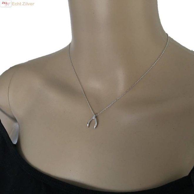 Zilveren wishbone wensbeen collier