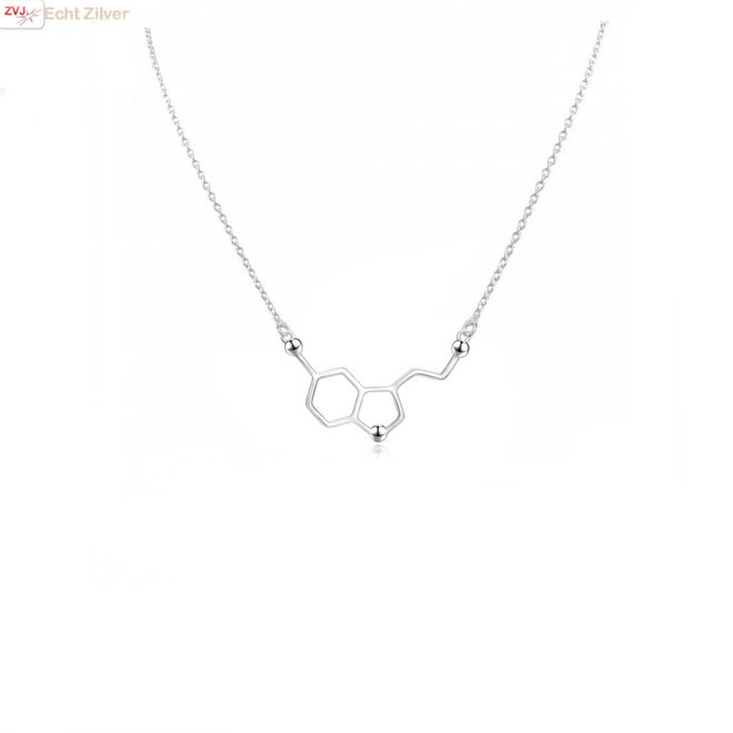 Zilveren serotonine molecule ketting