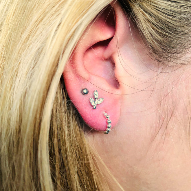 Zilveren tiny bling takje oorstekers