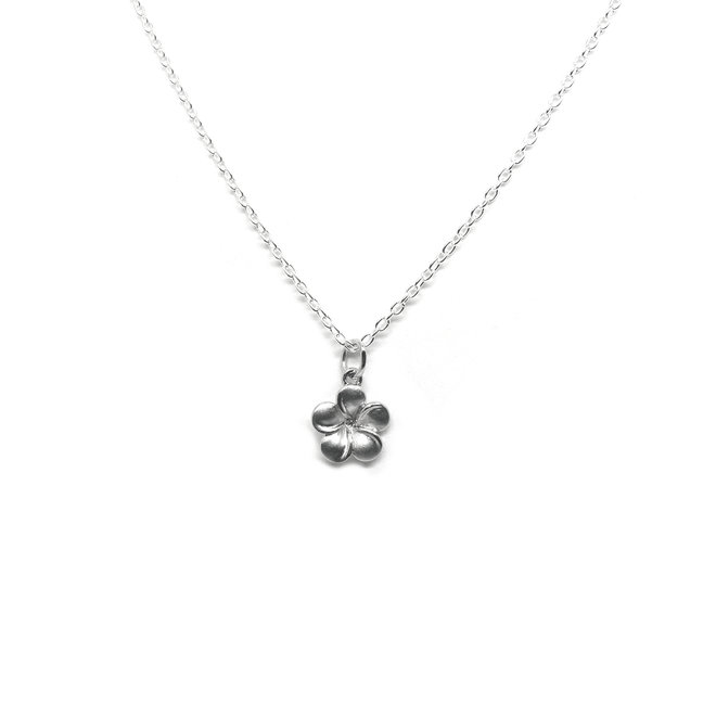 Zilveren vergeet me nietje ketting
