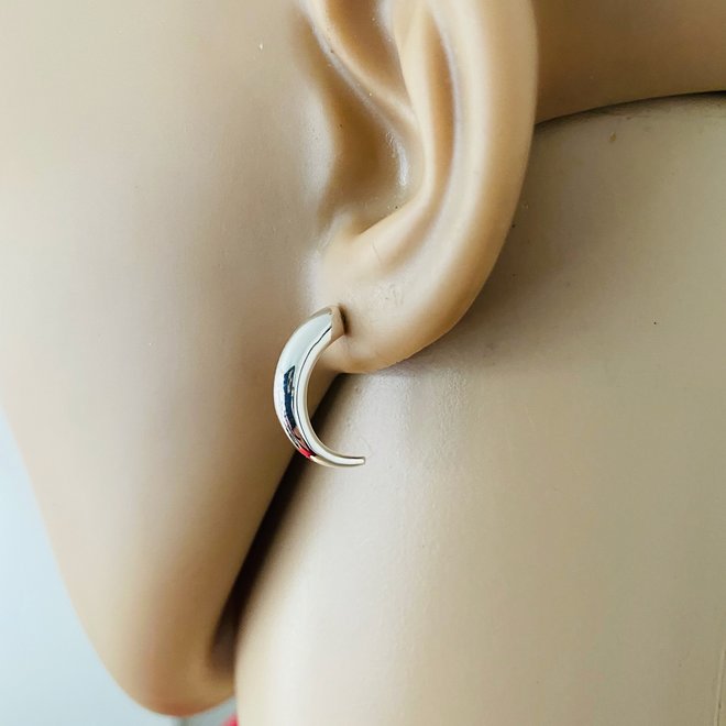 Zilveren hoorn vorm oorstekers