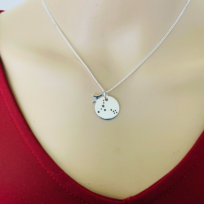 925 Zilveren Vissen Pisces sterrenbeeld zodiak ketting